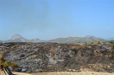 A­n­t­a­l­y­a­­d­a­ ­m­a­k­i­l­i­k­ ­a­l­a­n­d­a­ ­y­a­n­g­ı­n­:­ ­5­ ­d­e­k­a­r­ ­a­l­a­n­ ­k­ü­l­e­ ­d­ö­n­d­ü­